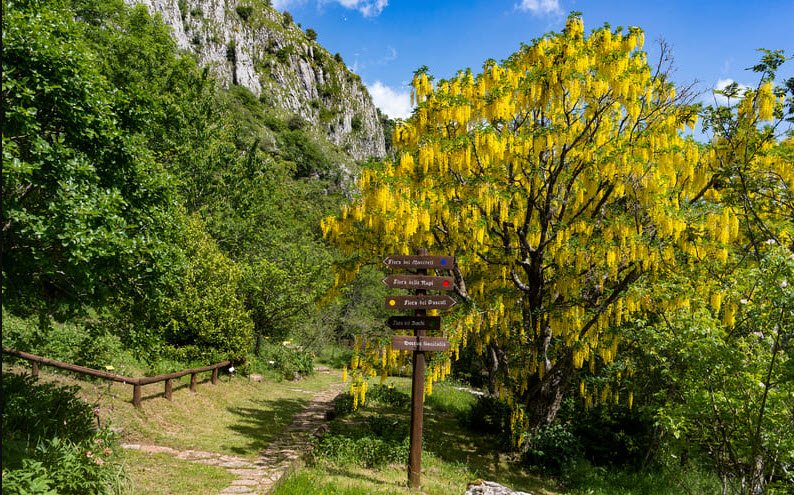 Parco dell'Orecchiella, Italy, Italy